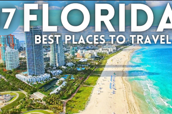 A vibrant Florida landscape featuring a beach with palm trees and a theme park in the background.