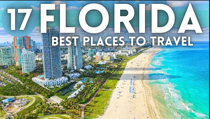 A vibrant Florida landscape featuring a beach with palm trees and a theme park in the background.